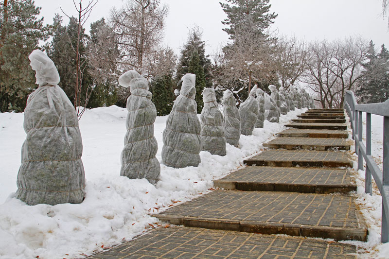 trees lining a staircase are wrapped in cloth